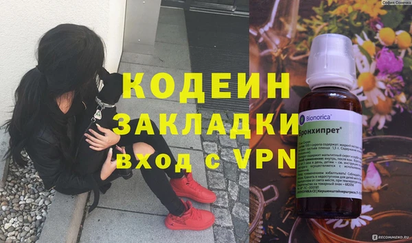 ГАЛЛЮЦИНОГЕННЫЕ ГРИБЫ Дмитриев