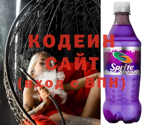 ГАЛЛЮЦИНОГЕННЫЕ ГРИБЫ Дмитриев