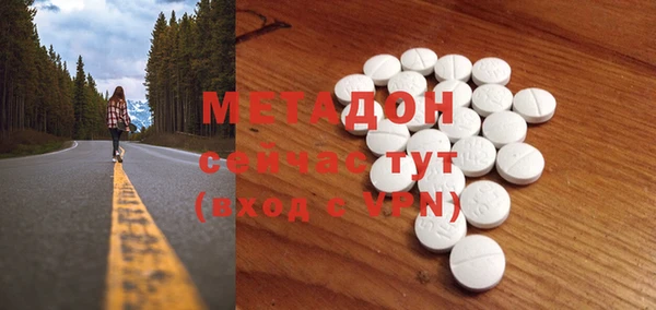 ГАЛЛЮЦИНОГЕННЫЕ ГРИБЫ Дмитриев
