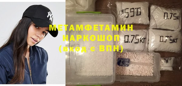 ГАЛЛЮЦИНОГЕННЫЕ ГРИБЫ Дмитриев
