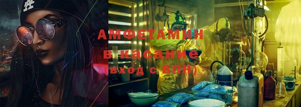 ГАЛЛЮЦИНОГЕННЫЕ ГРИБЫ Дмитриев