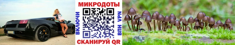 мега маркетплейс  Коломна  Псилоцибиновые грибы прущие грибы 