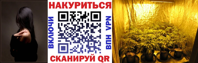 mega ТОР  Коломна  Шишки марихуана VHQ 